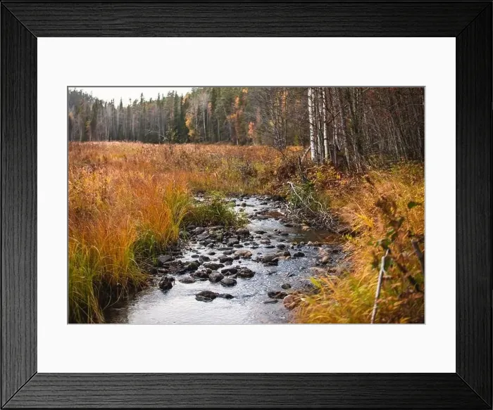 Framed Print : Autumn view of Oulanka National Park Framed Print : Autumn view of Oulanka National Park