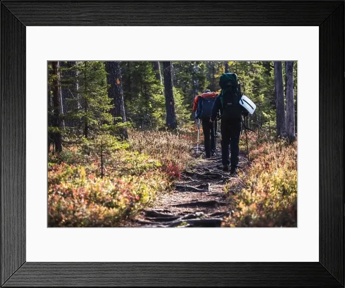 Framed Print : Autumn view of Oulanka National Park Framed Print : Autumn view of Oulanka National Park