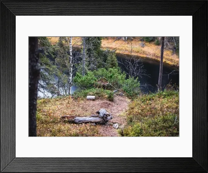 Framed Print : Autumn view of Oulanka National Park Framed Print : Autumn view of Oulanka National Park