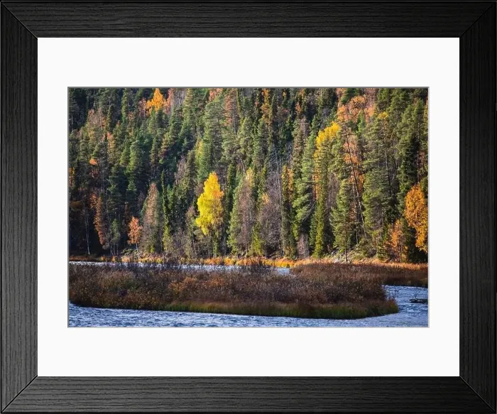 Framed Print : Autumn view of Oulanka National Park Framed Print : Autumn view of Oulanka National Park