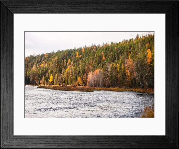 Framed Print : Autumn view of Oulanka National Park Framed Print : Autumn view of Oulanka National Park