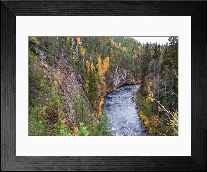Framed Print : Autumn view of Oulanka National Park Framed Print : Autumn view of Oulanka National Park