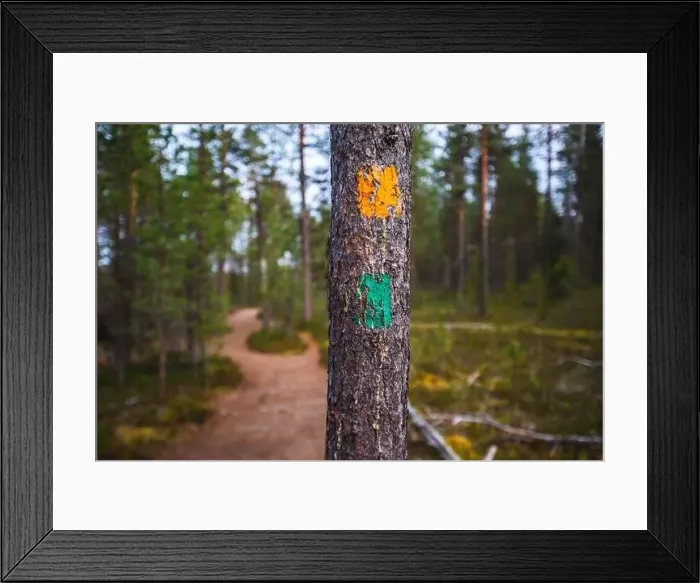 Framed Print : Autumn view of Oulanka National Park Framed Print : Autumn view of Oulanka National Park