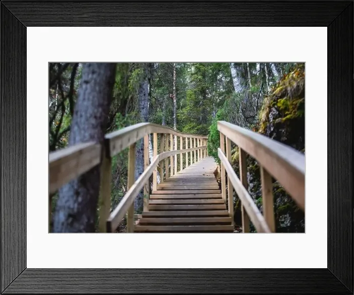 Framed Print : Autumn view of Oulanka National Park Framed Print : Autumn view of Oulanka National Park