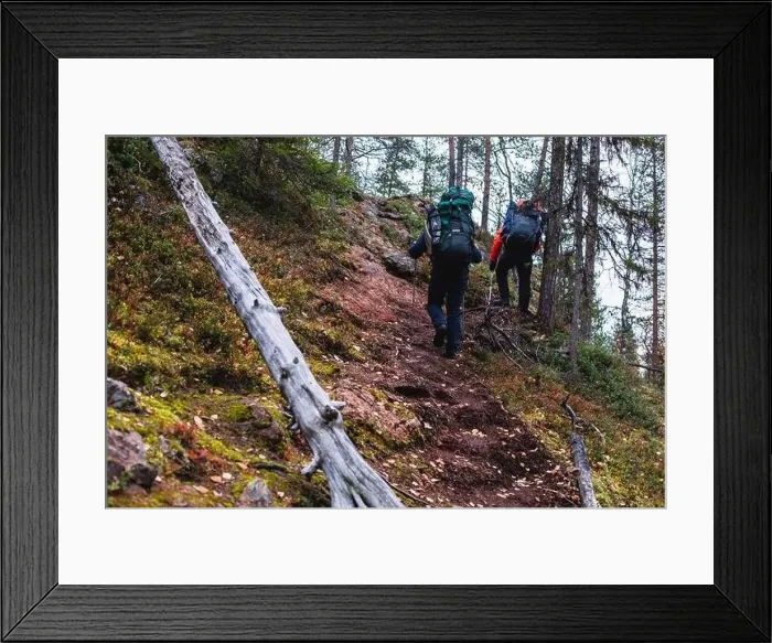 Framed Print : Autumn view of Oulanka National Park Framed Print : Autumn view of Oulanka National Park