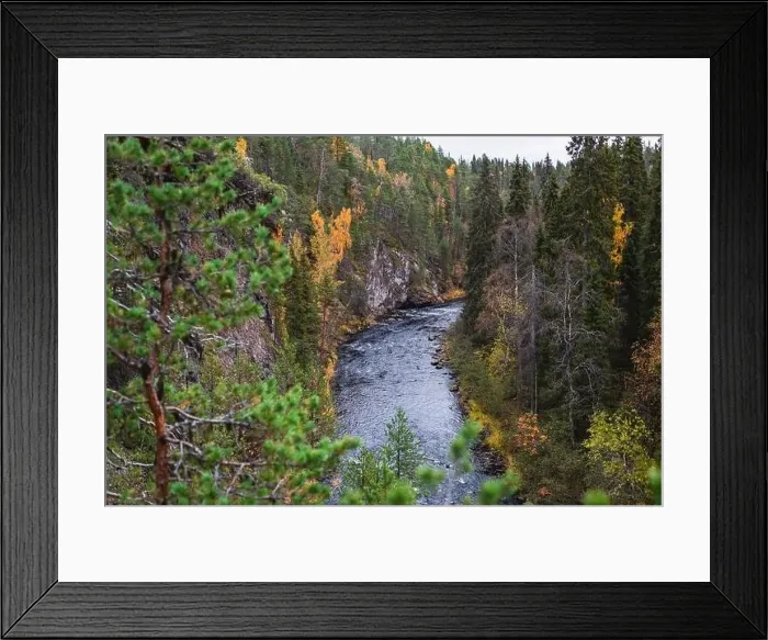 Framed Print : Autumn view of Oulanka National Park Framed Print : Autumn view of Oulanka National Park