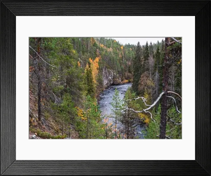 Framed Print : Autumn view of Oulanka National Park Framed Print : Autumn view of Oulanka National Park
