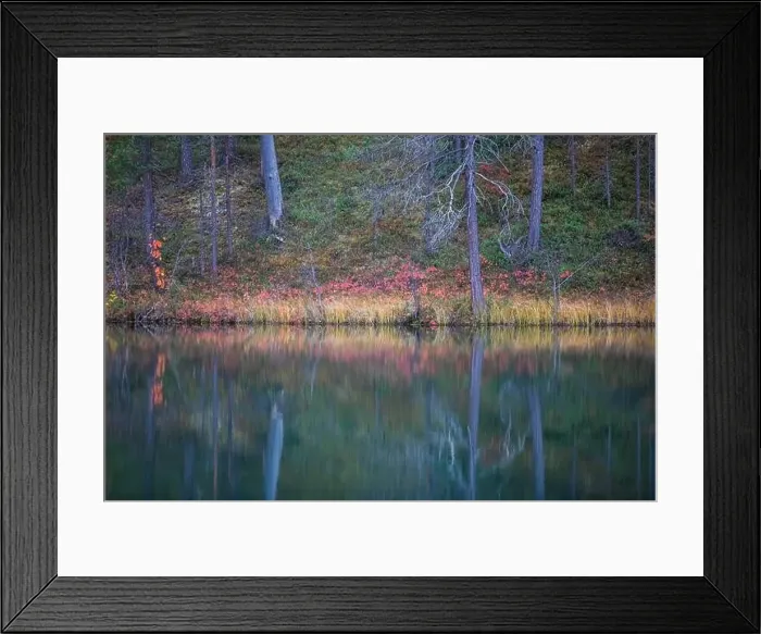 Framed Print : Autumn view of Oulanka National Park Framed Print : Autumn view of Oulanka National Park