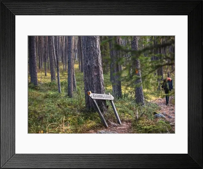 Framed Print : Autumn view of Oulanka National Park Framed Print : Autumn view of Oulanka National Park