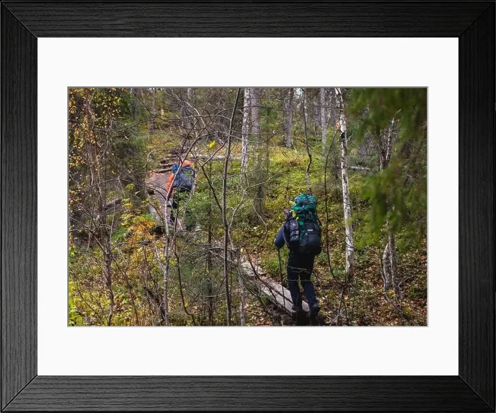 Framed Print : Autumn view of Oulanka National Park Framed Print : Autumn view of Oulanka National Park