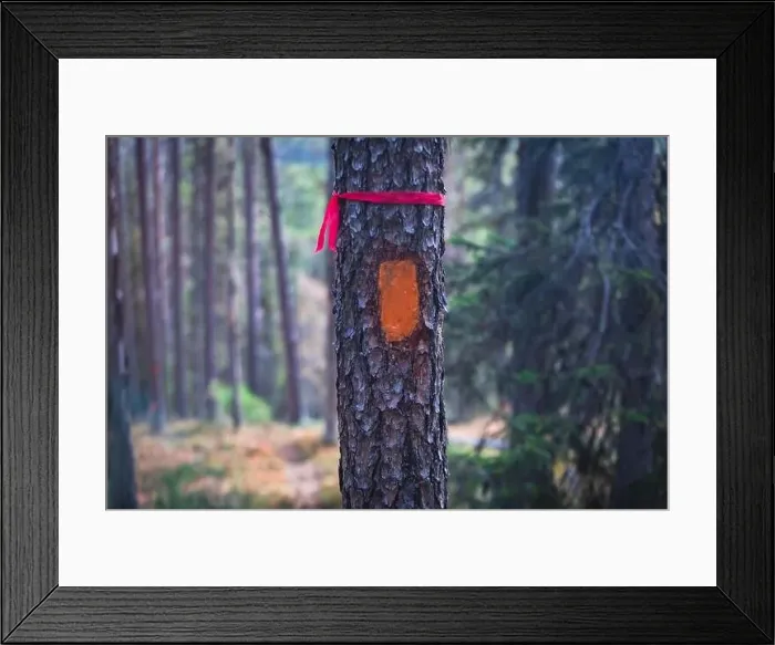 Framed Print : Autumn view of Oulanka National Park Framed Print : Autumn view of Oulanka National Park