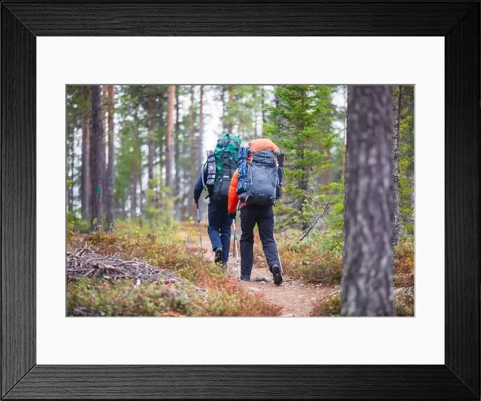 Framed Print : Autumn view of Oulanka National Park Framed Print : Autumn view of Oulanka National Park