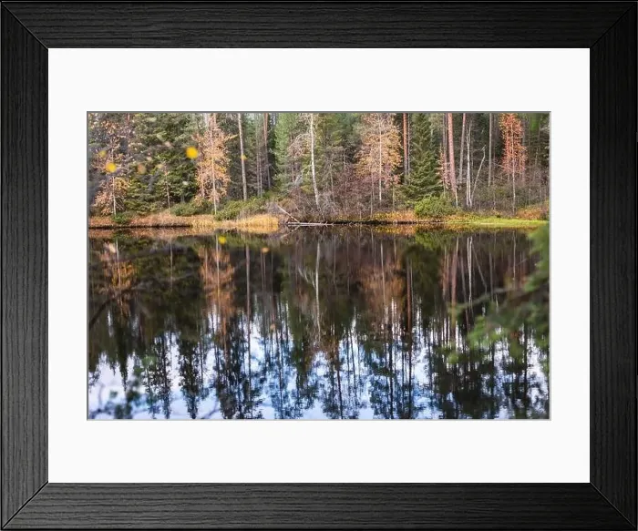 Framed Print : Autumn view of Oulanka National Park Framed Print : Autumn view of Oulanka National Park