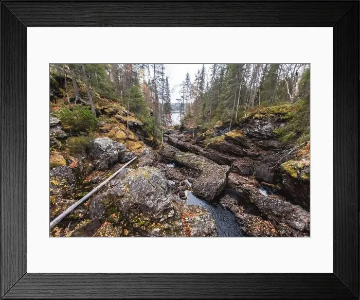 Framed Print : Autumn view of Oulanka National Park Framed Print : Autumn view of Oulanka National Park