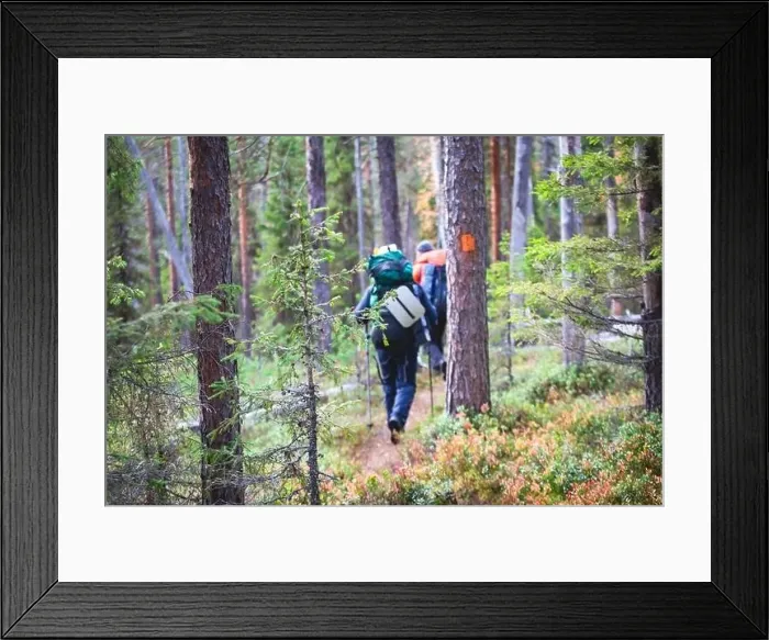 Framed Print : Autumn view of Oulanka National Park Framed Print : Autumn view of Oulanka National Park