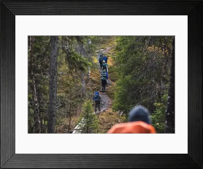 Framed Print : Autumn view of Oulanka National Park Framed Print : Autumn view of Oulanka National Park