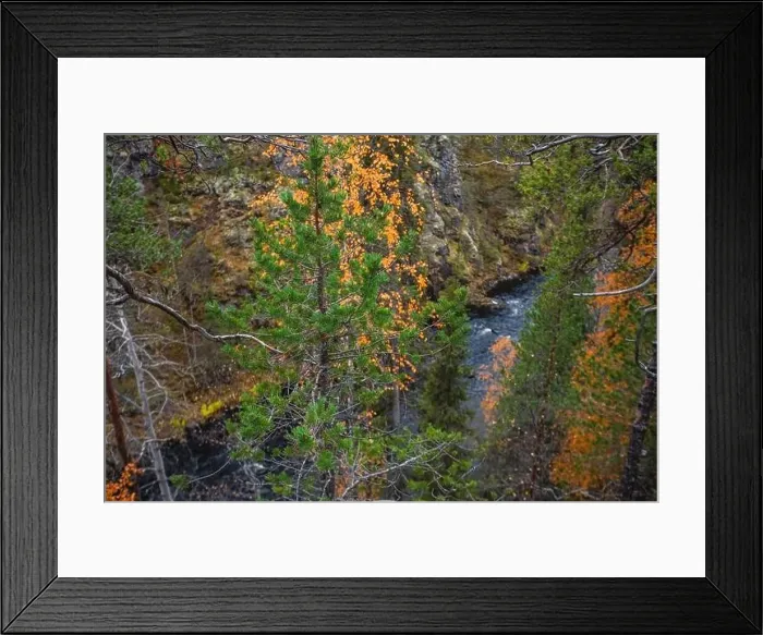 Framed Print : Autumn view of Oulanka National Park Framed Print : Autumn view of Oulanka National Park