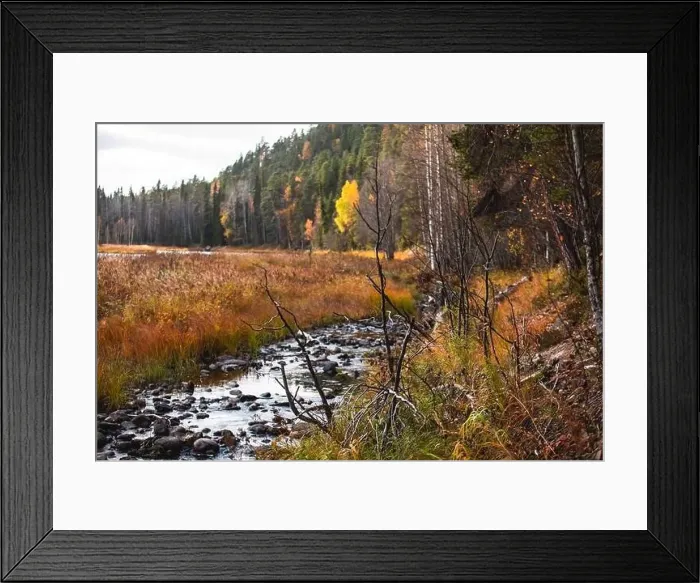 Framed Print : Autumn view of Oulanka National Park Framed Print : Autumn view of Oulanka National Park