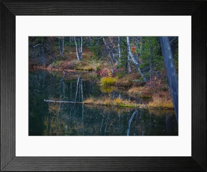 Framed Print : Autumn view of Oulanka National Park Framed Print : Autumn view of Oulanka National Park