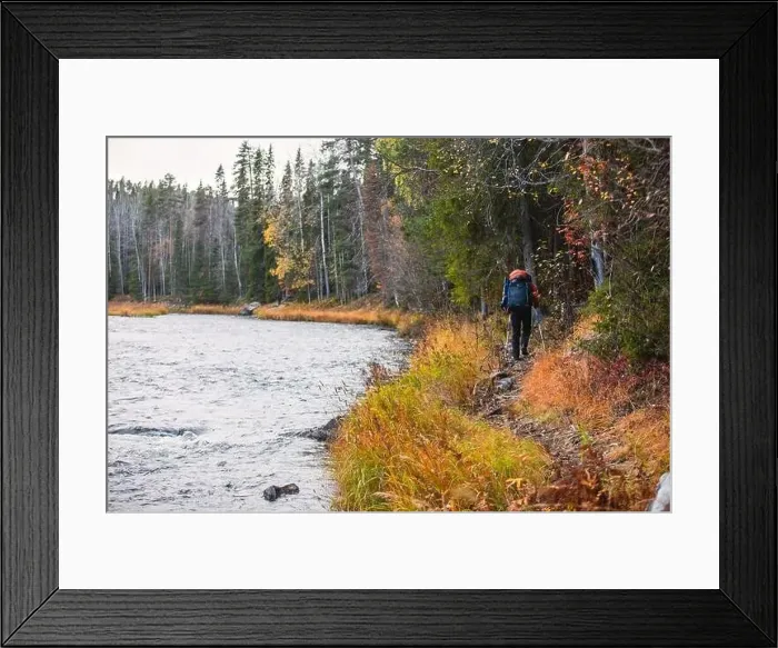 Framed Print : Autumn view of Oulanka National Park Framed Print : Autumn view of Oulanka National Park