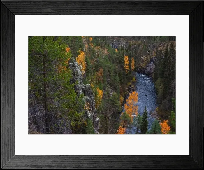 Framed Print : Autumn view of Oulanka National Park Framed Print : Autumn view of Oulanka National Park