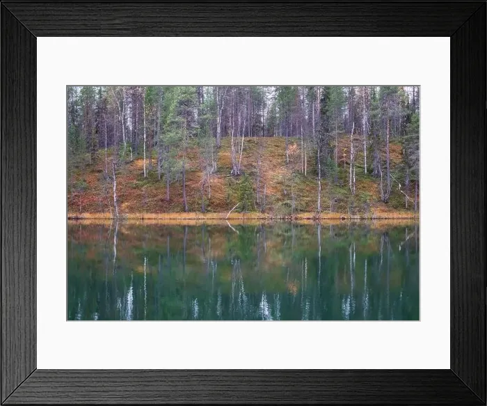 Framed Print : Autumn view of Oulanka National Park Framed Print : Autumn view of Oulanka National Park
