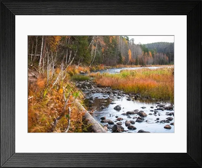 Framed Print : Autumn view of Oulanka National Park Framed Print : Autumn view of Oulanka National Park