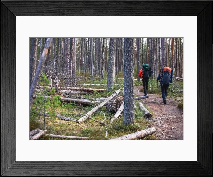 Framed Print : Autumn view of Oulanka National Park Framed Print : Autumn view of Oulanka National Park
