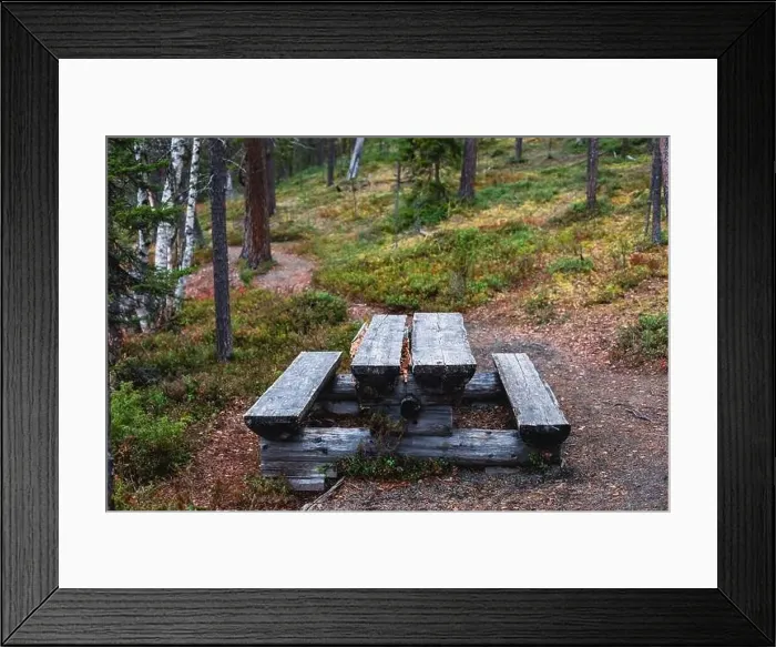 Framed Print : Autumn view of Oulanka National Park Framed Print : Autumn view of Oulanka National Park