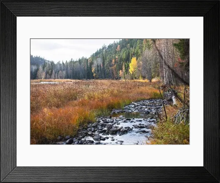 Framed Print : Autumn view of Oulanka National Park Framed Print : Autumn view of Oulanka National Park