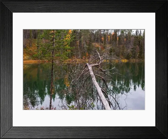 Framed Print : Autumn view of Oulanka National Park Framed Print : Autumn view of Oulanka National Park