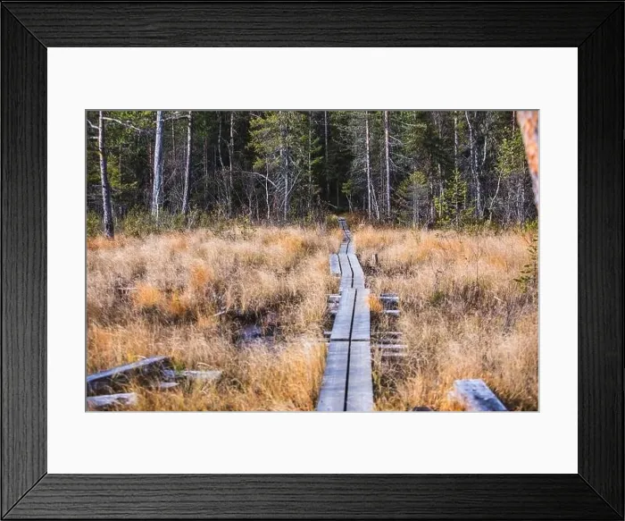 Framed Print : Autumn view of Oulanka National Park Framed Print : Autumn view of Oulanka National Park