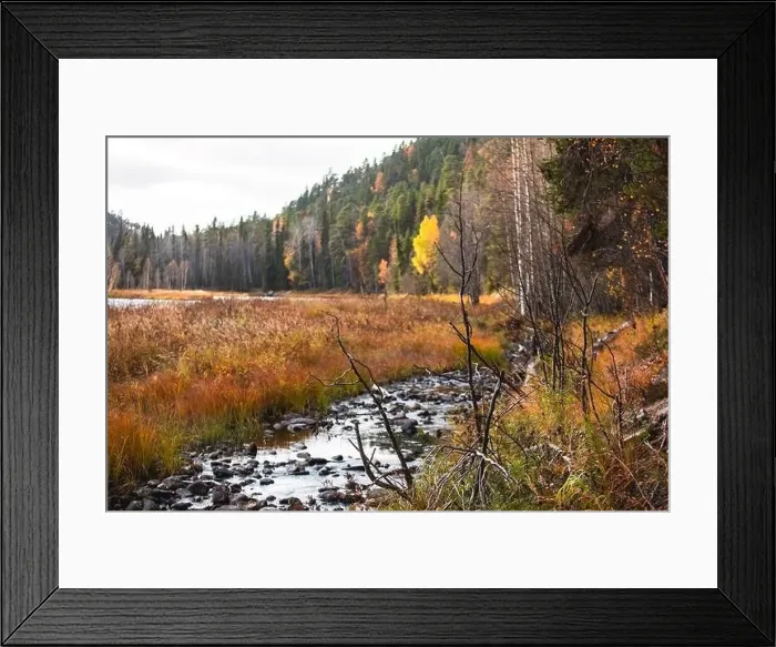 Framed Print : Autumn view of Oulanka National Park Framed Print : Autumn view of Oulanka National Park
