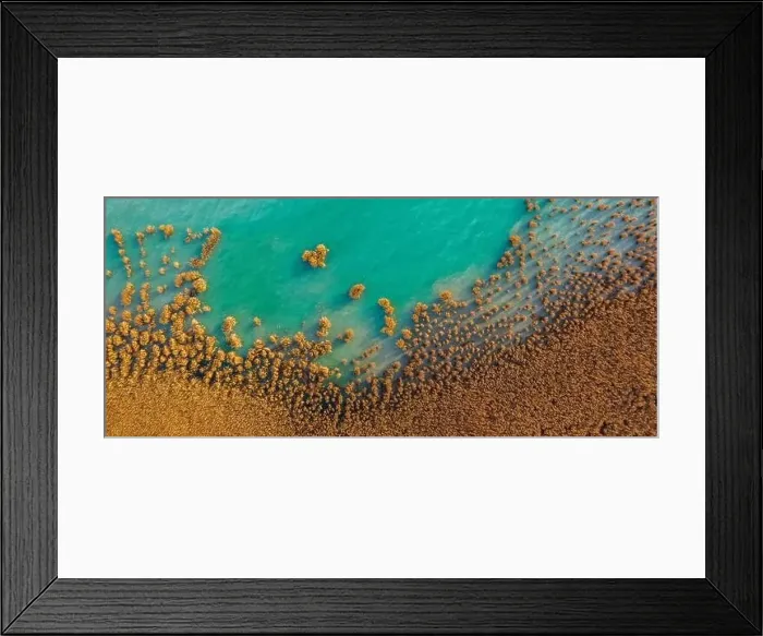 Framed Print : Alsoors Hungary - Aerial view of beautiful reeds formation with crystal clear turquoise water at lake Balaton Framed Print : Alsoors Hungary - Aerial view of beautiful reeds formation with crystal clear turquoise water at lake Balaton