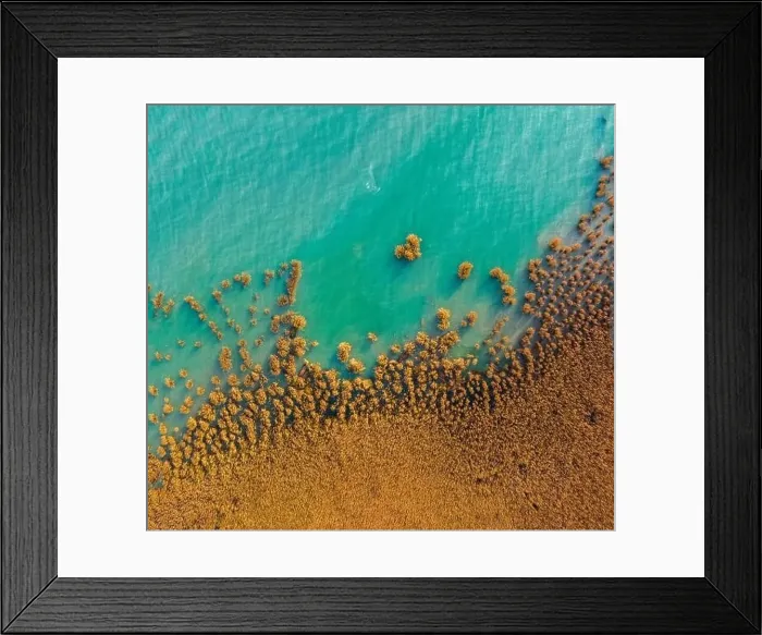 Framed Print : Alsoors Hungary - Aerial view of beautiful reeds formation with crystal clear turquoise water at lake Balaton Framed Print : Alsoors Hungary - Aerial view of beautiful reeds formation with crystal clear turquoise water at lake Balaton