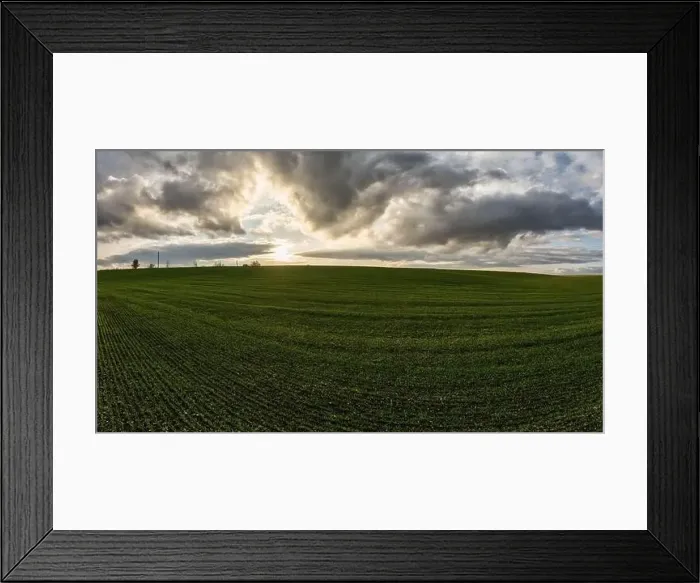 Framed Print : Flying over a field of growing wheat. Aerial panoramic drone shot Framed Print : Flying over a field of growing wheat. Aerial panoramic drone shot