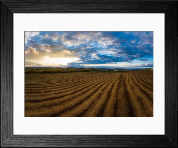 Framed Print : Flying over a field of growing wheat. Aerial panoramic drone shot Framed Print : Flying over a field of growing wheat. Aerial panoramic drone shot