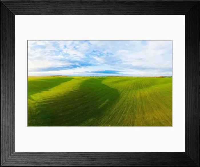 Framed Print : Flying over a field of growing wheat. Aerial panoramic drone shot Framed Print : Flying over a field of growing wheat. Aerial panoramic drone shot