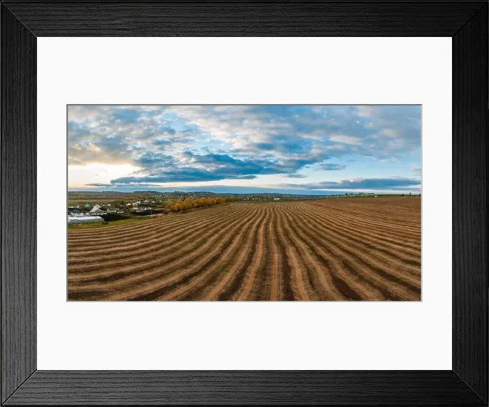 Framed Print : Flying over a field of growing wheat. Aerial panoramic drone shot Framed Print : Flying over a field of growing wheat. Aerial panoramic drone shot