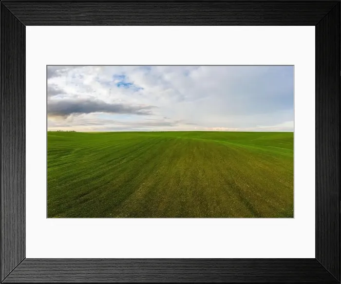 Framed Print : Flying over a field of growing wheat. Aerial panoramic drone shot Framed Print : Flying over a field of growing wheat. Aerial panoramic drone shot