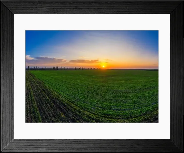 Framed Print : Flying over a field of growing wheat. Aerial panoramic drone shot Framed Print : Flying over a field of growing wheat. Aerial panoramic drone shot