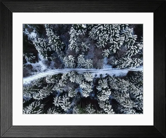 Framed Print : sky view on snow covered trees in the forest Framed Print : sky view on snow covered trees in the forest