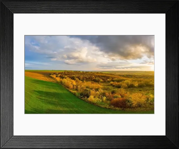 Framed Print : Flying over a field of growing wheat. Aerial panoramic drone shot Framed Print : Flying over a field of growing wheat. Aerial panoramic drone shot