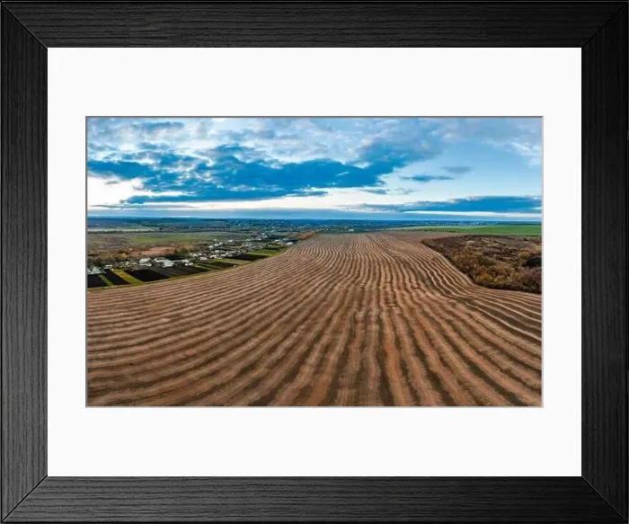 Framed Print : Flying over a field of growing wheat. Aerial panoramic drone shot Framed Print : Flying over a field of growing wheat. Aerial panoramic drone shot