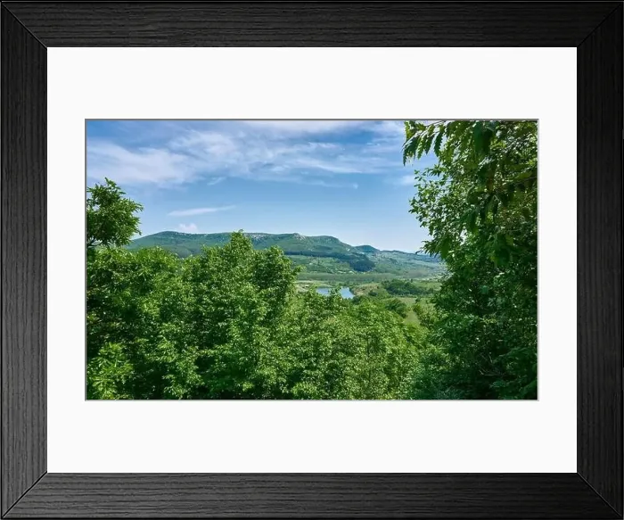 Framed Print : Beautiful green forest in a sunny day Framed Print : Beautiful green forest in a sunny day