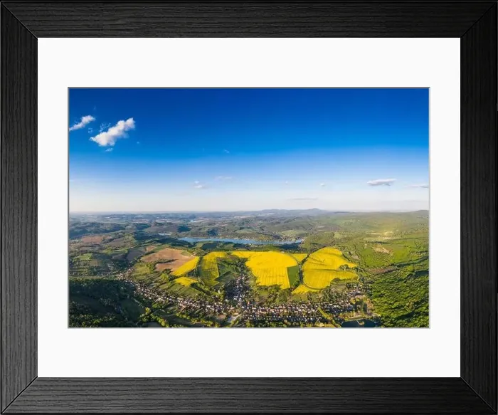 Framed Print : yellow canola field with blue sky Framed Print : yellow canola field with blue sky