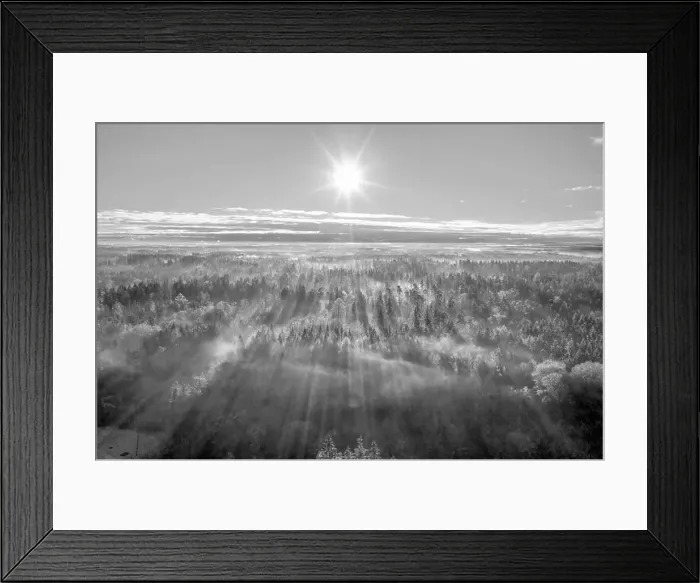 Framed Print : Scenic view of rays of sun beaming through the forest, an aerial from a drone over woodland Framed Print : Scenic view of rays of sun beaming through the forest, an aerial from a drone over woodland