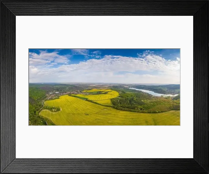 Framed Print : yellow canola field with cloudy sky