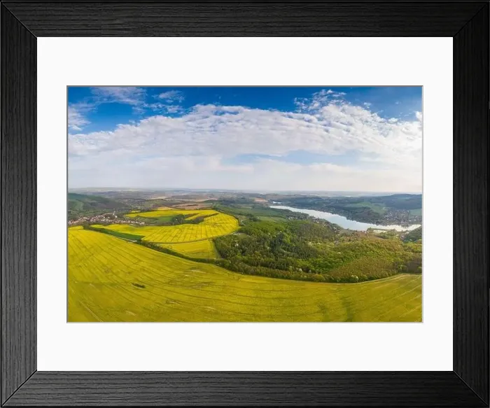 Framed Print : yellow canola field with cloudy sky Framed Print : yellow canola field with cloudy sky