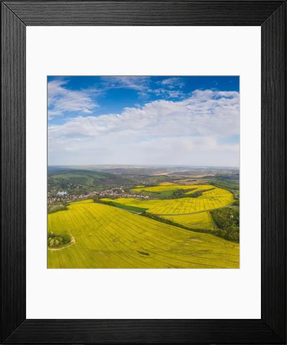 Framed Print : yellow canola field with cloudy sky Framed Print : yellow canola field with cloudy sky